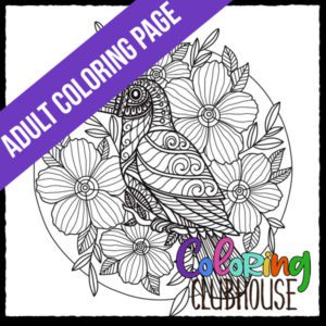 Toucan Bird Zentangle Coloring Page for Adults